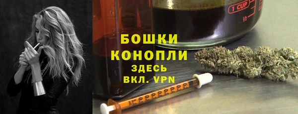PSILOCYBIN Покачи
