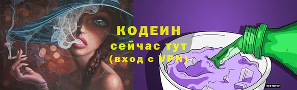 PSILOCYBIN Покачи