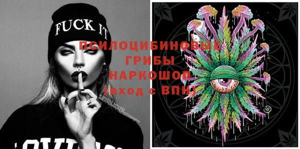 PSILOCYBIN Покачи