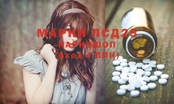 PSILOCYBIN Покачи