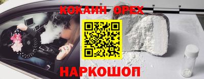 гидра Гатчина
