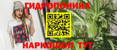 индика Гагарин