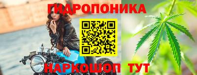 индика Гагарин