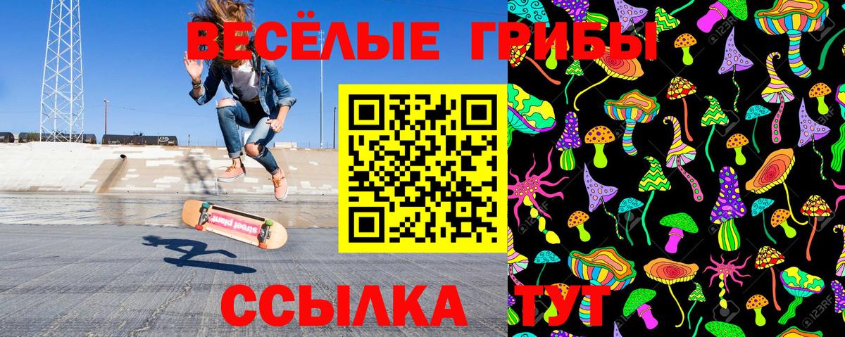 Псилоцибиновые грибы MAGIC MUSHROOMS  Вход с VPN  наркошоп  Ялта 