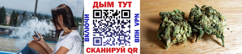 купить   Ялта  Бошки марихуана ГИДРОПОН 
